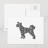 Pumi Briefkaart (Voorkant / Achterkant)