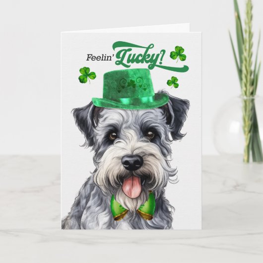 Pumi Dog Lucky St Patrick's Day Feestdagen Kaart (Voorkant)
