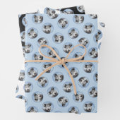 Pumi Schilderij Grijs Pumik Schattigee Originele P Inpakpapier Vel (In situ)