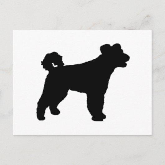 pumi silo black.png briefkaart (Voorkant)