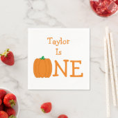 Pumpkin 1st Birthday Servet (Insitu)