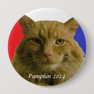 Pumpkin 2024 Verkiezingscampagne Pinback Button