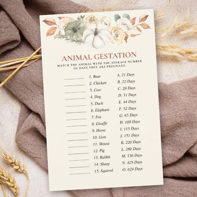 Pumpkin Animal Gontest Baby shower Games (This delightful game is a wonderful way to celebrate in a fall-themed pumpkin baby shower design.)