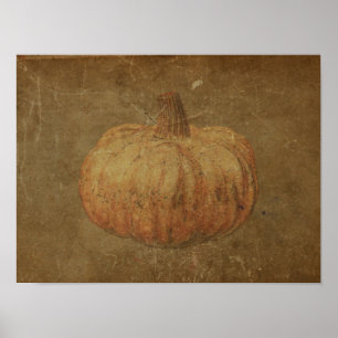 Pumpkin  Antiek Sinaasappel Autumn Textuur Poster