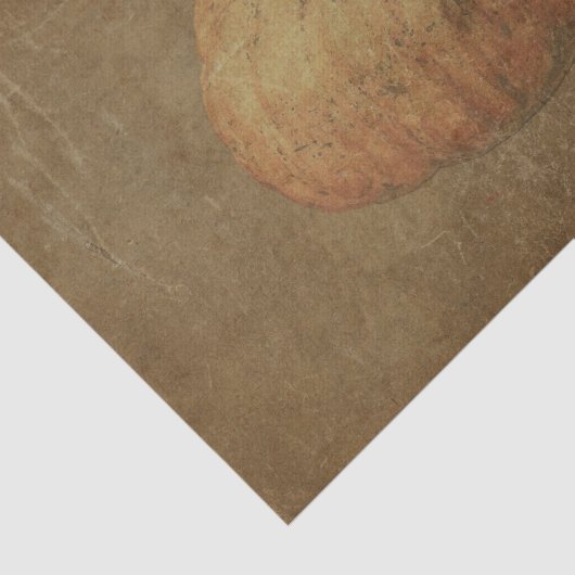 Pumpkin  Antiek Sinaasappel Autumn Textuur Tissuepapier (Detail)