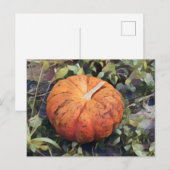Pumpkin Art Briefkaart (Voorkant / Achterkant)