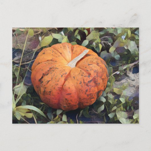 Pumpkin Art Briefkaart (Voorkant)