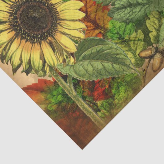 Pumpkin Autumn Herfst Sunflower Tissuepapier (Detail)