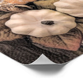 Pumpkin Autumn Oranje White Brown  Antiek Poster (Hoek)
