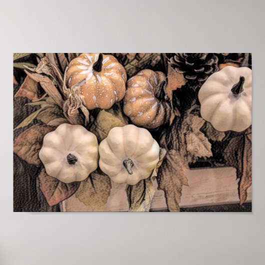 Pumpkin Autumn Oranje White Brown  Antiek Poster (Voorkant)