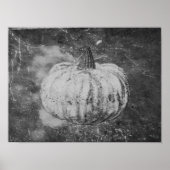 Pumpkin Autumn , zwart en wit Poster (Voorkant)