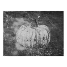Pumpkin Autumn , zwart en wit
