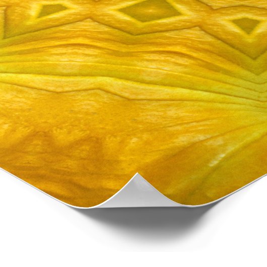 Pumpkin Blossom Kaleidoscope Poster (Hoek)