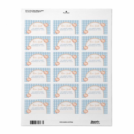 Pumpkin Boho Blue Gingham 1e verjaardag adres Etiket (Full Sheet)