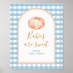 Pumpkin Boho Blue Gingham Baby's zijn Sweet Sign Poster