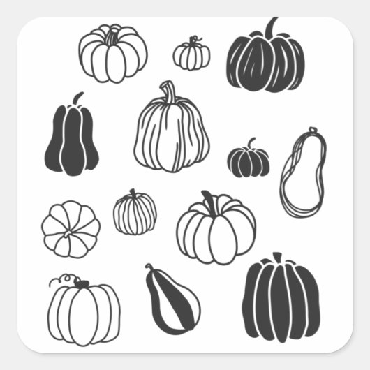 Pumpkin Botanisch Vierkante Sticker (Voorkant)