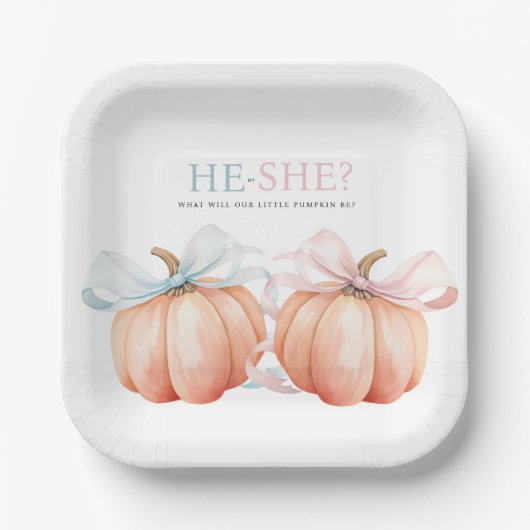 Pumpkin Bow Roze Blauw Geslacht Reveal Papieren Bordje (Voorkant)
