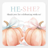 Pumpkin Bow Roze Blauw Geslacht Reveal Vierkante Sticker (Voorkant)