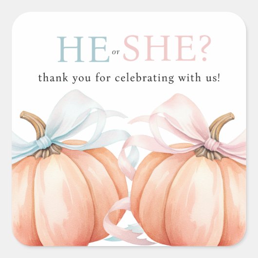 Pumpkin Bow Roze Blauw Geslacht Reveal Vierkante Sticker (Voorkant)