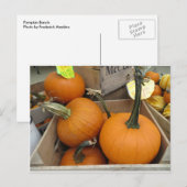 Pumpkin Bunch Briefkaart (Voorkant / Achterkant)