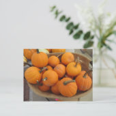 Pumpkin Bundle Briefkaart (Staand voorkant)