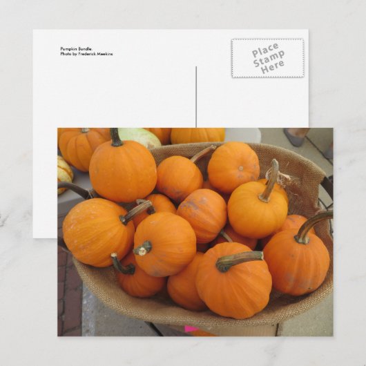 Pumpkin Bundle Briefkaart (Voorkant / Achterkant)