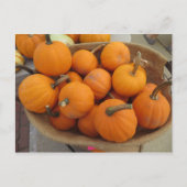 Pumpkin Bundle Briefkaart (Voorkant)