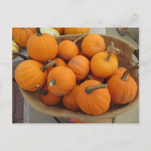 Pumpkin Bundle Briefkaart