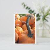 Pumpkin close-up briefkaart (Staand voorkant)