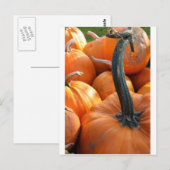 Pumpkin close-up briefkaart (Voorkant / Achterkant)