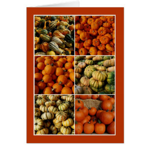 Pumpkin Collage
