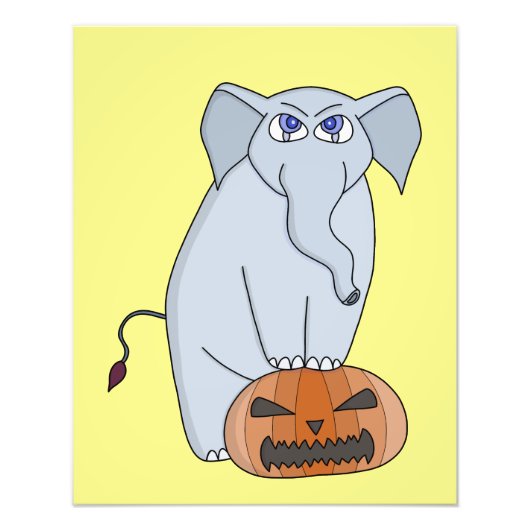 Pumpkin Elephant Foto Afdruk (Voorkant)