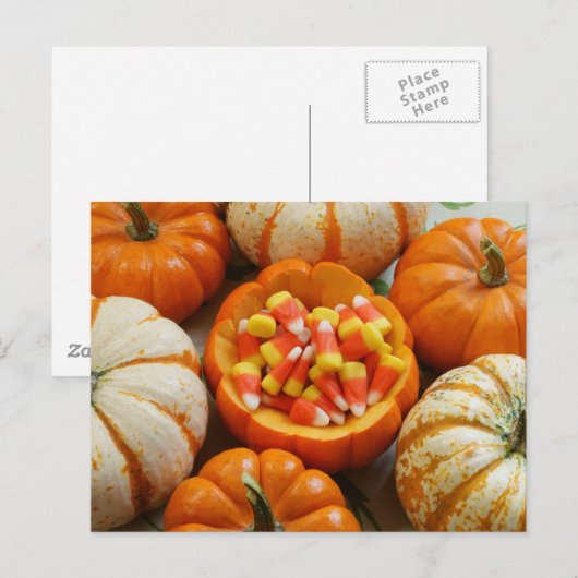 Pumpkin en Candy Corn Briefkaart (Voorkant / Achterkant)