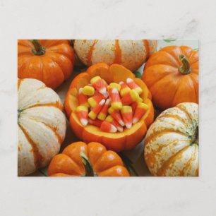 Pumpkin en Candy Corn Briefkaart