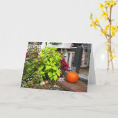 Pumpkin en Coleus - Martha's wijngaard Kaart (Gele Bloem)