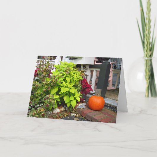 Pumpkin en Coleus - Martha's wijngaard Kaart (Voorkant)