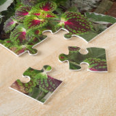 Pumpkin en Coleus - Martha's wijngaard Legpuzzel (Zijkant)