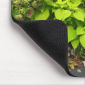 Pumpkin en Coleus - Martha's wijngaard Muismat (Hoek)