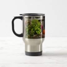 Pumpkin en Coleus - Martha's wijngaard