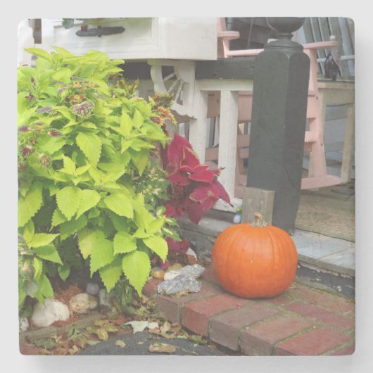 Pumpkin en Coleus - Martha's wijngaard Stenen Onderzetter (Voorkant)