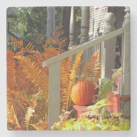 Pumpkin en Ferns - Martha's wijngaard Stenen Onderzetter (Voorkant)