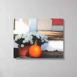 Pumpkin en White Mums - Martha's wijntuin Canvas Afdruk