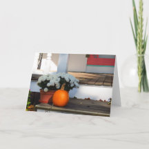 Pumpkin en White Mums - Martha's wijntuin