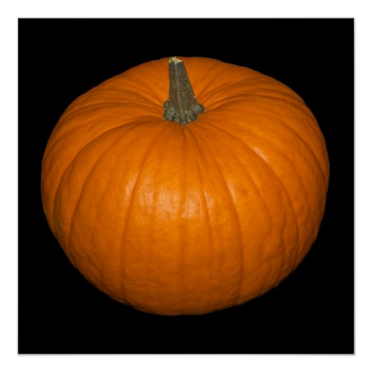 Pumpkin-foto op zwarte achtergrond poster (Voorkant)