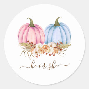 Pumpkin Gender Reveal Invitation, Herfst Geslacht Ronde Sticker