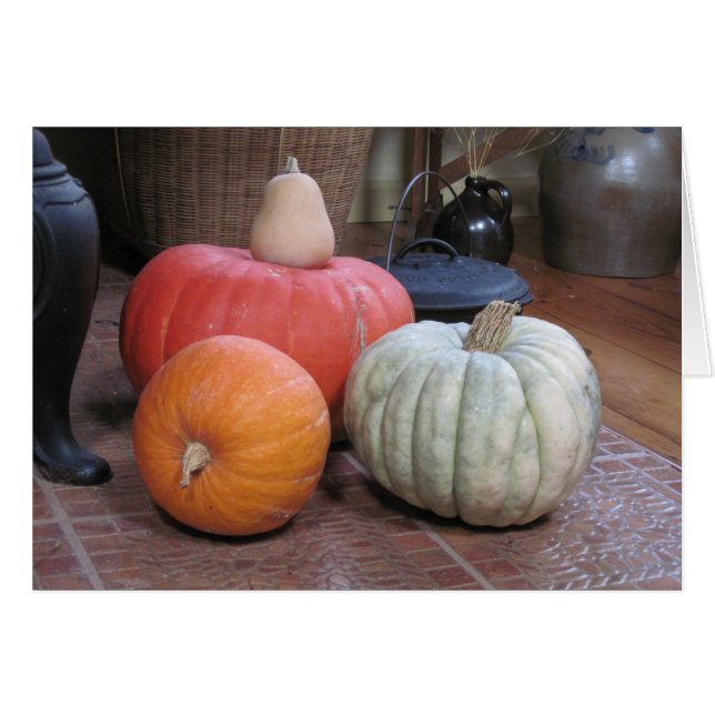 Pumpkin Harvest (Voorkant Horizontaal)