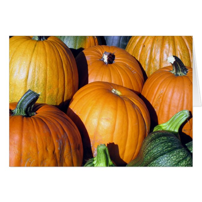 Pumpkin Harvest (Voorkant Horizontaal)