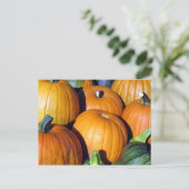 Pumpkin Harvest Briefkaart (Staand voorkant)