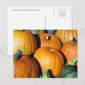 Pumpkin Harvest Briefkaart (Voorkant / Achterkant)