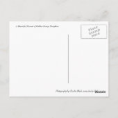 Pumpkin Harvest Briefkaart (Achterkant)